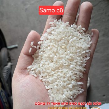 Gạo Sa mơ cũ nở xốp, mềm cơm