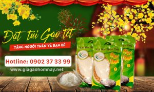 gạo Ngọc Thực