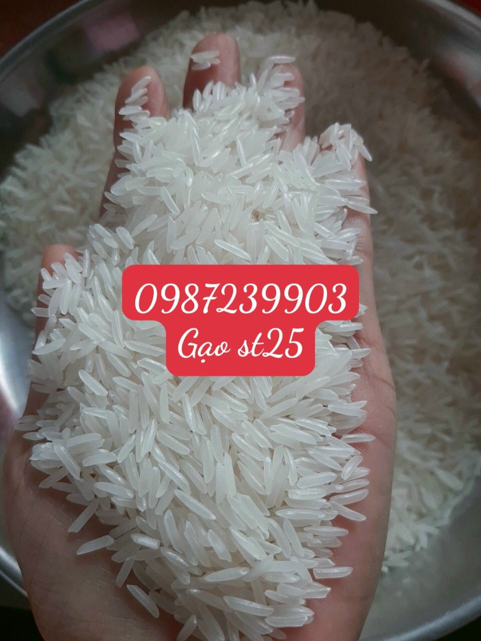 gạo ST25 đặc sản Sóc Trăng
