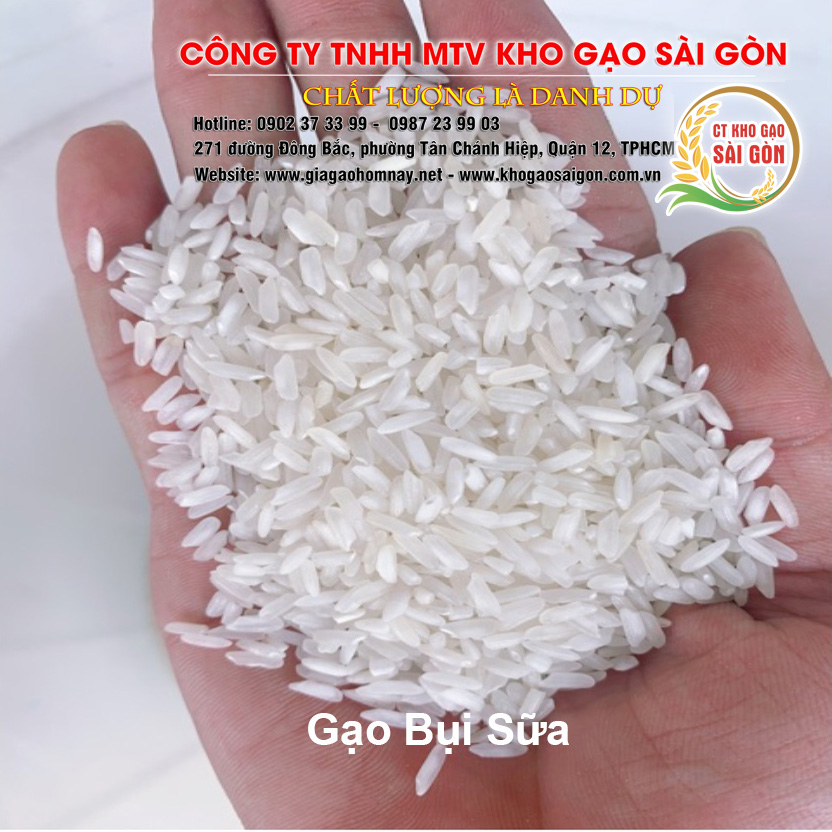 Gạo Bụi Sữa - Nở xốp, mềm cơm