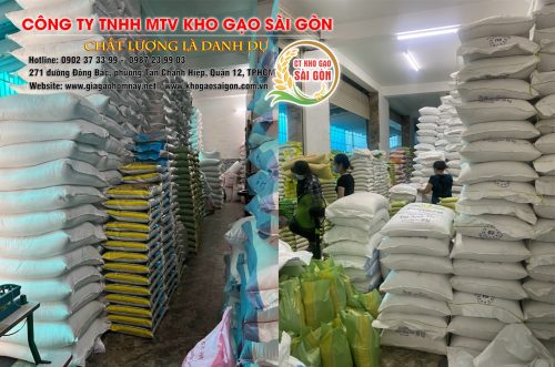 Kho gạo Sài Gòn - Nhà phân phối gạo giá sỉ chất lượng cho đại lý