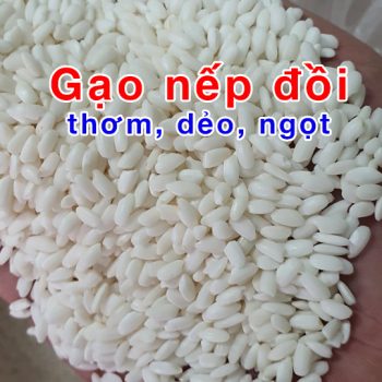 Gạo nếp đồi nương