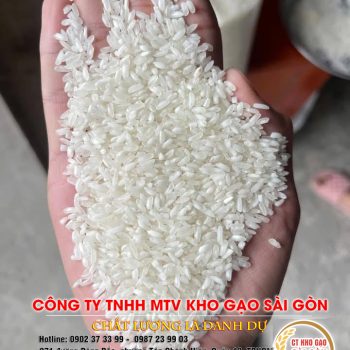 Gạo trắng thông dụng