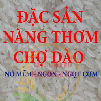 Gạo nàng thơm chợ Đào