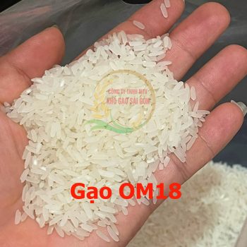 Gạo OM18