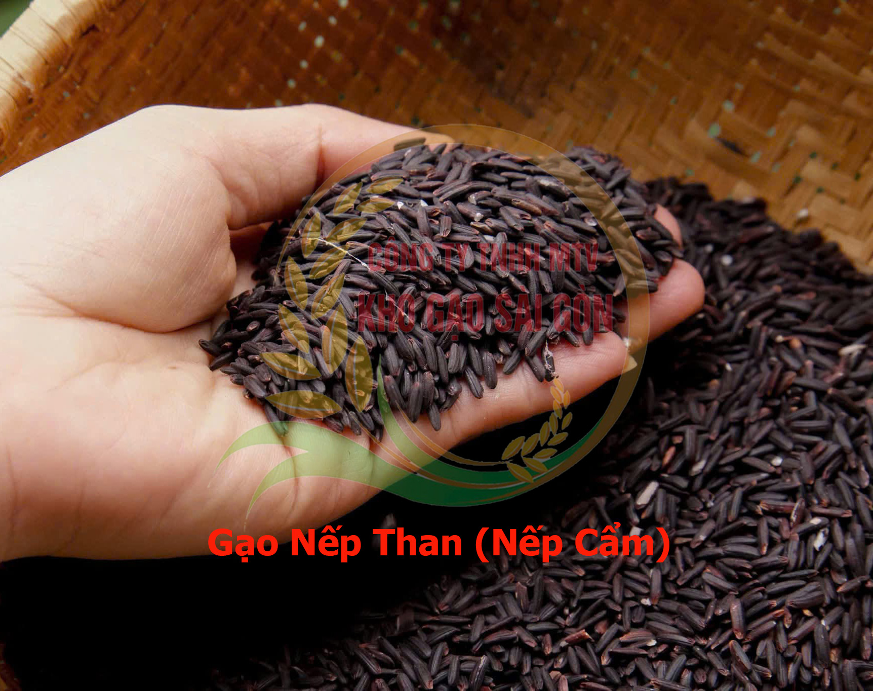 Gạo Nếp Than, gạo nếp Cẩm