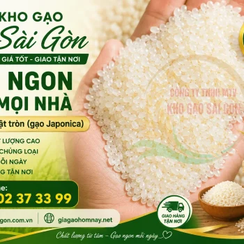 Gạo Nhật tròn (gạo Japonica)
